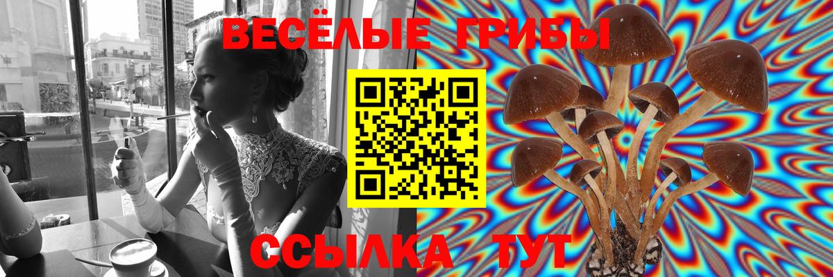 Псилоцибиновые грибы Psilocybe  Псилоцибиновые грибы GOLDEN TEACHER  Донской  Вход с VPN 